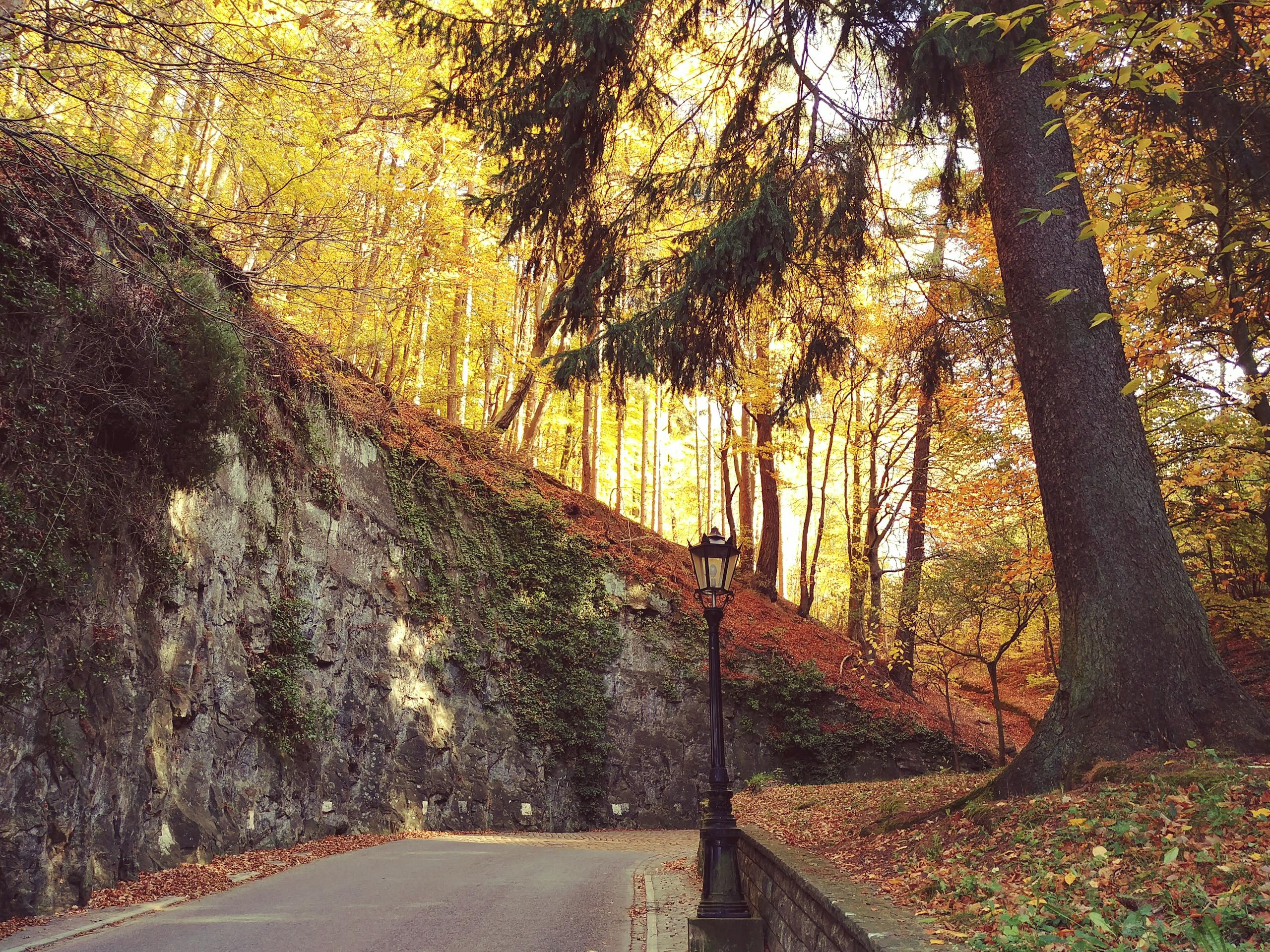 Виза в Люксембург